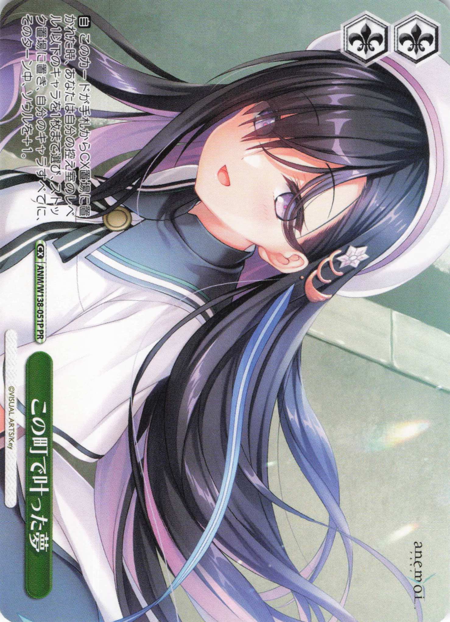 この町で叶った夢(PR)(ANM/W138-051P)